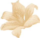 Sarifa Massage Center